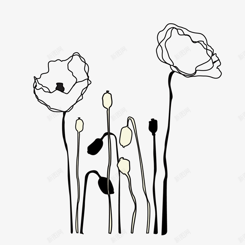 手绘线条花卉png免抠素材_88icon https://88icon.com 卡片 手绘线条 花 花朵 装饰花纹