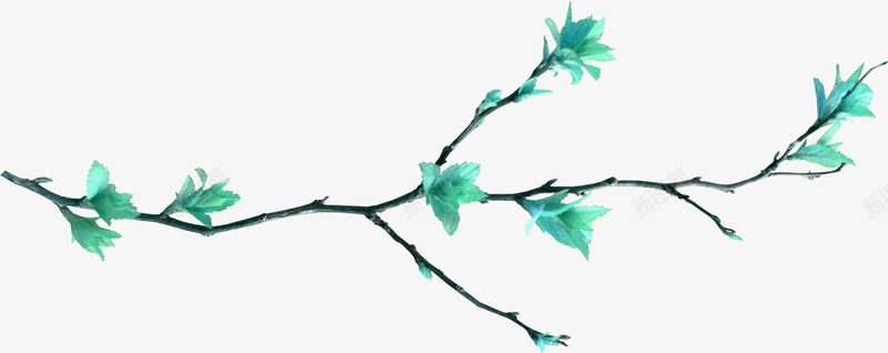 手绘绿叶枝叶藤蔓装饰png免抠素材_88icon https://88icon.com 插画 树叶 植物 点缀 绿叶 花边 藤条 藤蔓 装饰