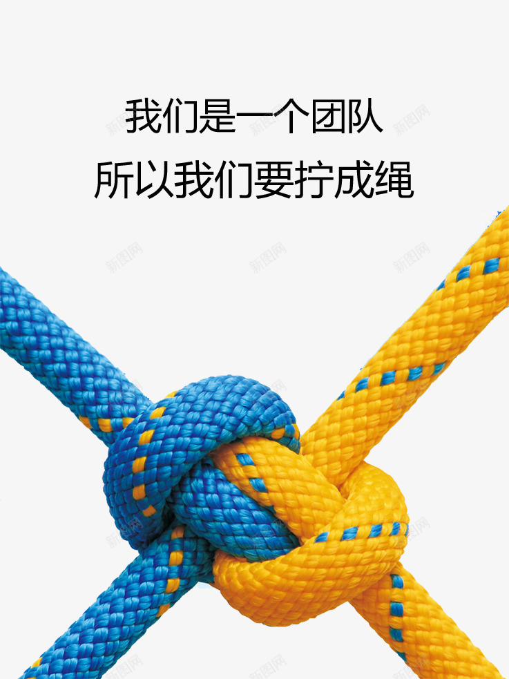 我们是一个团队psd免抠素材_88icon https://88icon.com 合作 团队 团队照片 团队的凝聚力 绳子