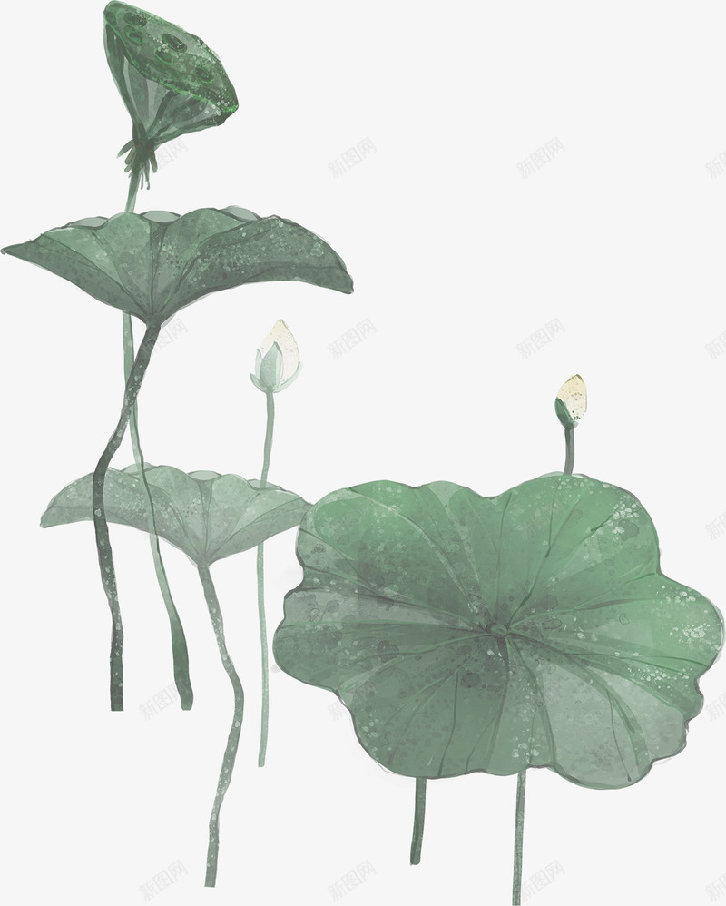 植物水墨效果莲花png免抠素材_88icon https://88icon.com 效果 植物 水墨 莲花 设计