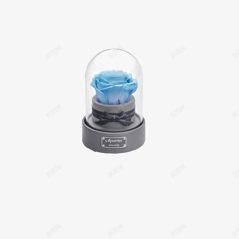 蓝色玫瑰永生花水晶摆件png免抠素材_88icon https://88icon.com 实物图 水晶摆件 永生花 漂亮的 蓝色玫瑰花 装饰