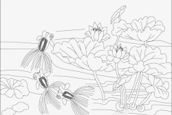 金鱼荷花儿png图片下载 金鱼荷花儿素材