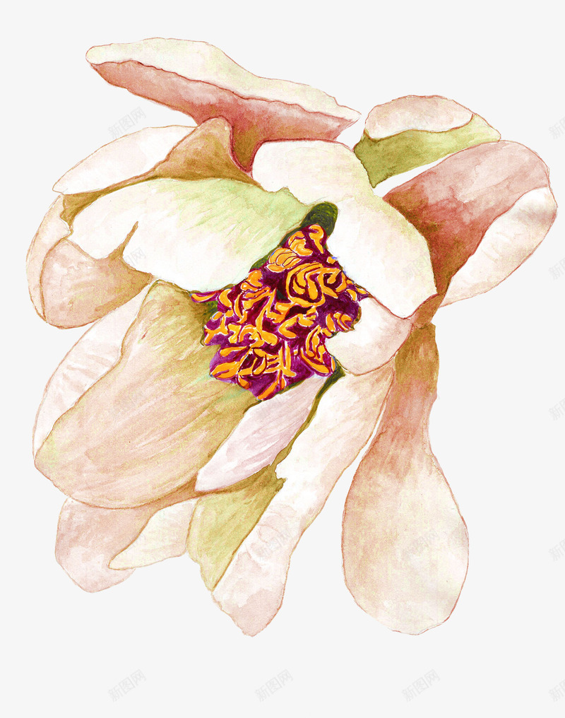 手绘水彩一朵花朵png免抠素材_88icon https://88icon.com 包装设计 小清新包装 花朵 花朵装饰 花瓣 花瓣装饰 花草设计 贺卡设计