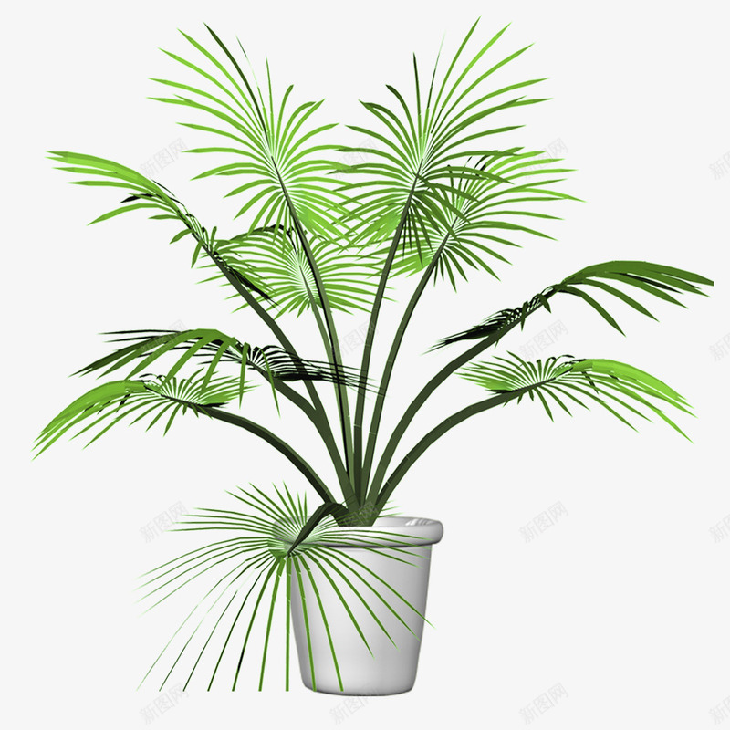 盆栽棕榈竹png免抠素材_88icon https://88icon.com 室内 棕榈竹 盆栽 绿植 观音竹