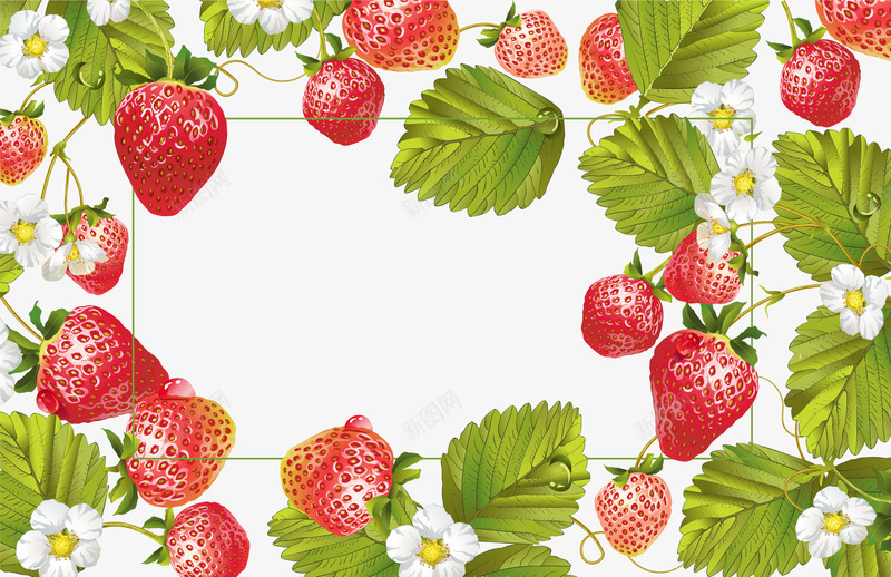 小清新草莓藤广告牌矢量图eps免抠素材_88icon https://88icon.com banner 小清新风格 广告牌 矢量素材 草莓藤 矢量图