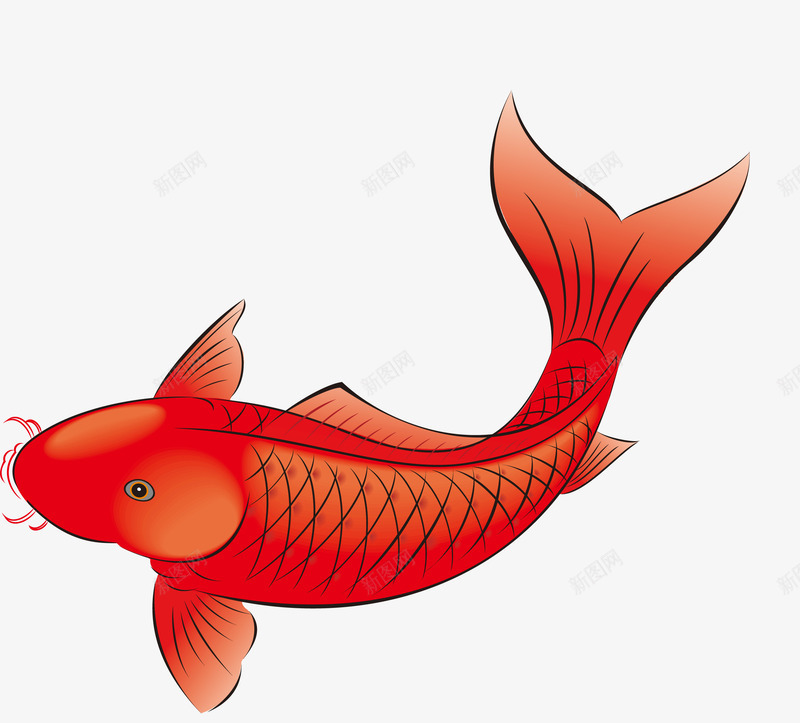 手绘红鲤鱼矢量图ai免抠素材_88icon https://88icon.com 吉祥 手绘 红鲤鱼 矢量图