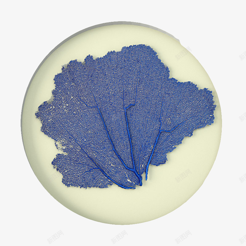 一个灰色圆形叶子挂饰png免抠素材_88icon https://88icon.com 一个 一个灰色圆形叶子挂饰 圆形 墙壁挂件 灰色 灰色圆形挂饰 灰色挂饰