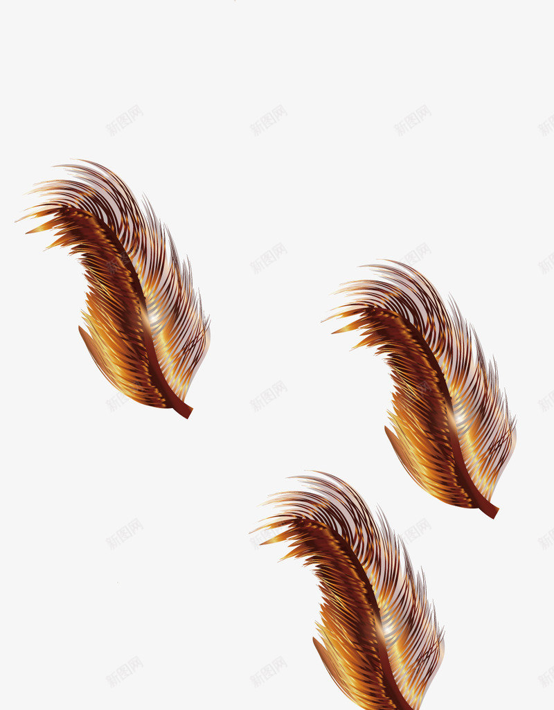 金色羽毛箭头动感png免抠素材_88icon https://88icon.com 图案 箭头 羽毛 装饰元素 金色