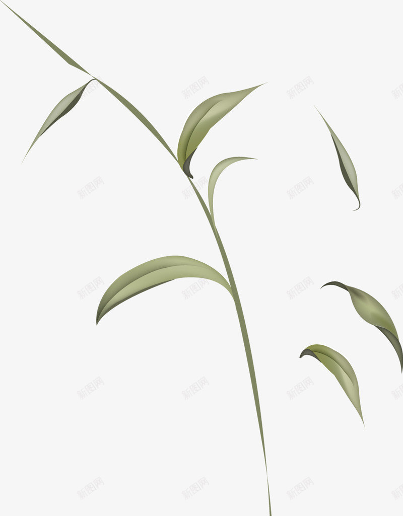 手绘绿色漂浮树叶树根png免抠素材_88icon https://88icon.com 树叶 树根 漂浮 绿色
