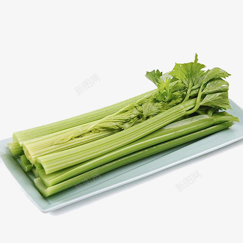 绿色蔬菜芹菜png免抠素材_88icon https://88icon.com 有机芹菜 绿色芹菜 绿色蔬菜芹菜免扣图片 蔬菜芹菜