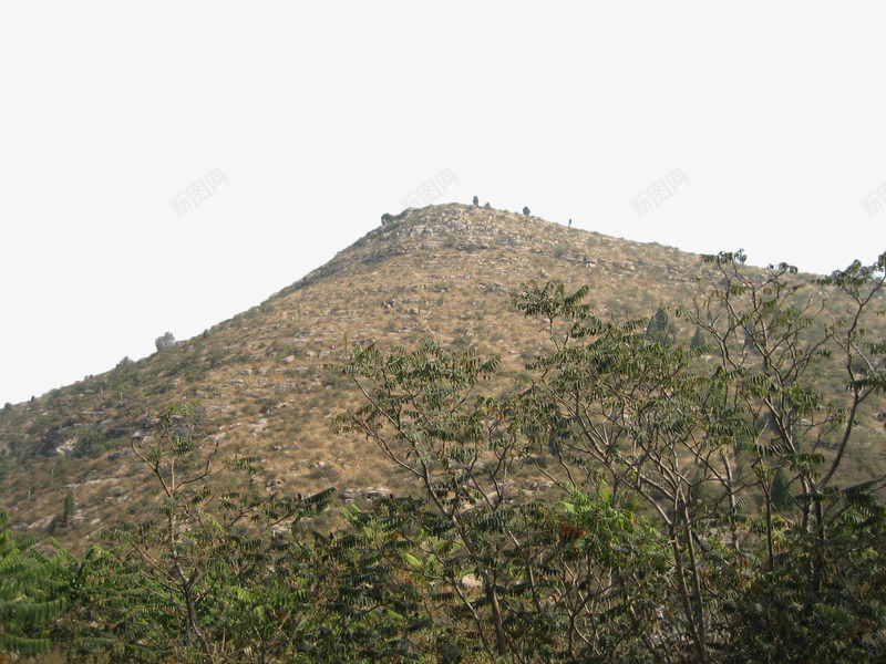 荒草山坡png免抠素材_88icon https://88icon.com 土地 土坡 土坯 小山 山坡 树丛 石硕 荒草 阳光