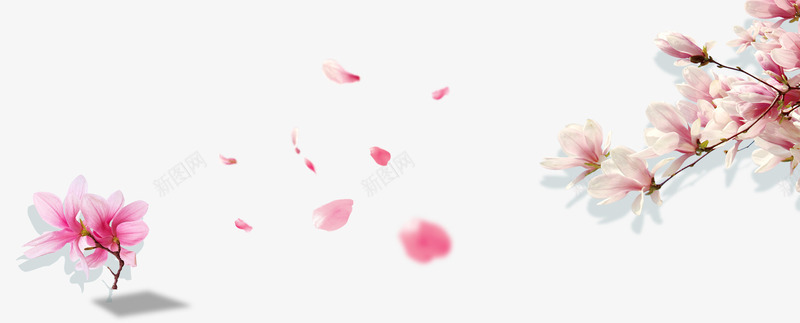 漂浮的花瓣png免抠素材_88icon https://88icon.com 杜鹃花 植物 漂浮 漂浮的花瓣 红色 花瓣