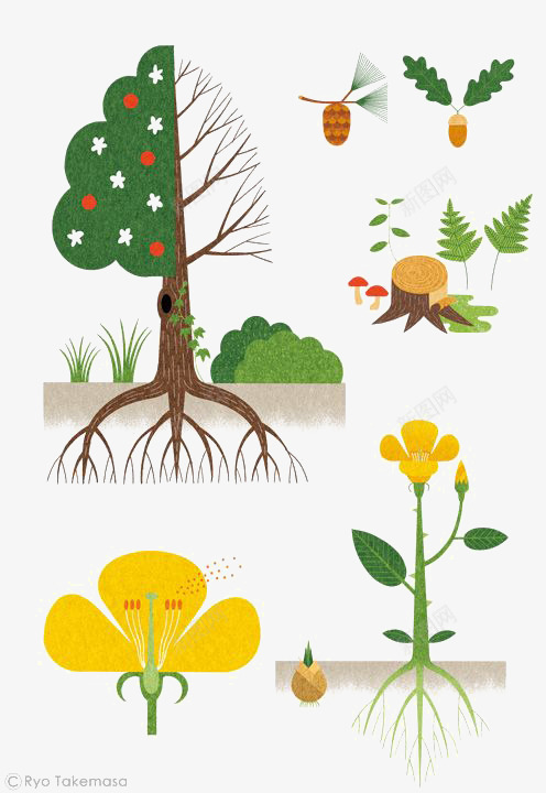 扁平化植物png免抠素材_88icon https://88icon.com 卡通 大树 手绘 插画 木桩 果树 花朵