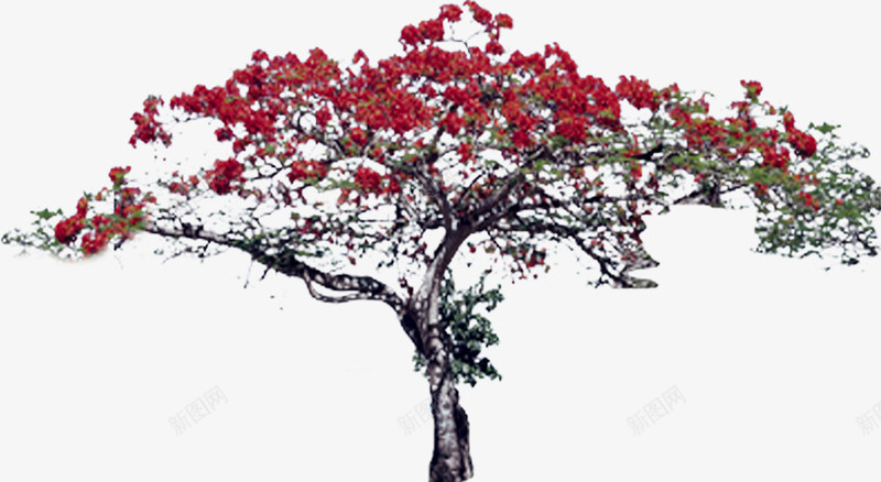 粉色花朵大树景观png免抠素材_88icon https://88icon.com 大树 景观 粉色 花朵