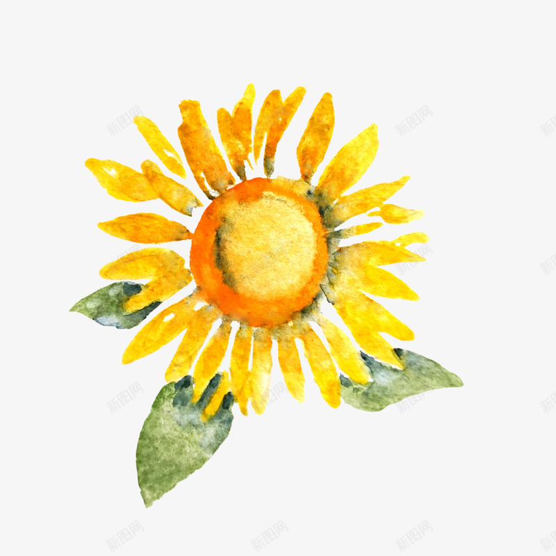 水彩太阳花手绘图png免抠素材_88icon https://88icon.com 太阳花 水彩 简图 美丽的 花卉 花朵 花瓣 装饰