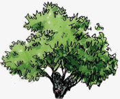 夏季园林绿色植物大树景观png免抠素材_88icon https://88icon.com 园林 夏季 大树 景观 绿色植物