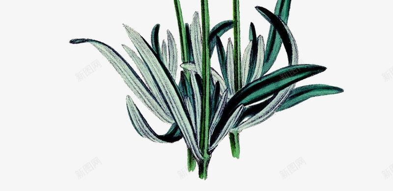 小花小草png免抠素材_88icon https://88icon.com 卡通 叶子 小花 小草 手绘 简图 紫色 绿色