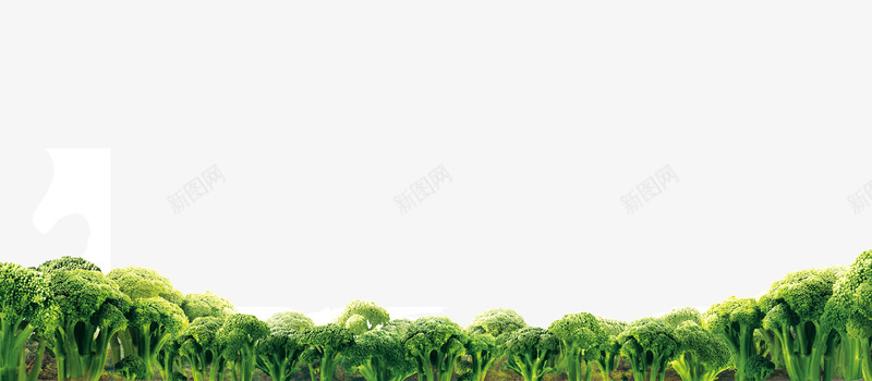 大树丛林png免抠素材_88icon https://88icon.com 丛林 大树 绿色