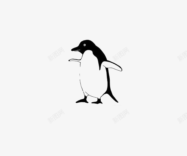 黑色动物企鹅png免抠素材_88icon https://88icon.com 企鹅图片 动物 黑色