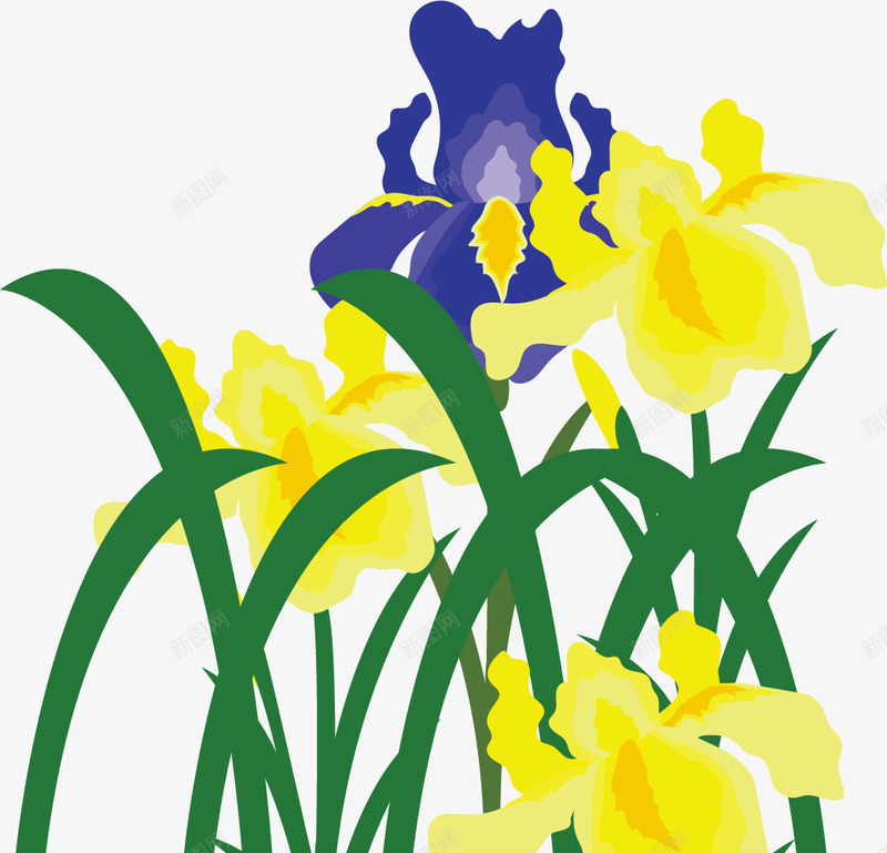 草丛中的美丽鸢尾花png免抠素材_88icon https://88icon.com 卡通鸢尾花 矢量鸢尾花 美丽 美丽花朵 花朵 草丛 鸢尾花