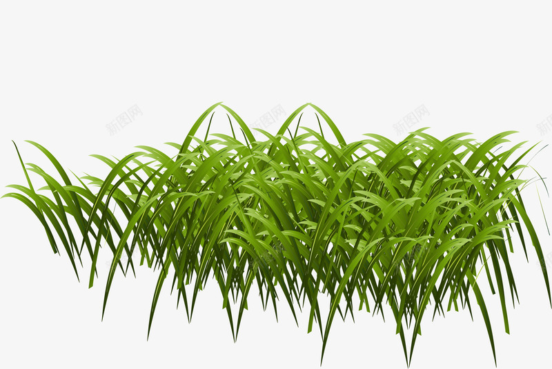 卡通绿色小草png免抠素材_88icon https://88icon.com 免抠PNG 卡通 小清新 小草 简约 绿色 草丛