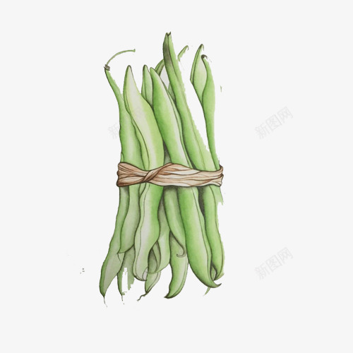 豇豆手绘画片psd免抠素材_88icon https://88icon.com 手绘蔬菜 绿色 色彩画 蔬菜 豇豆