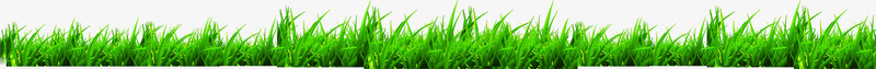 清新春天路边小草png免抠素材_88icon https://88icon.com 春天 清新 路边