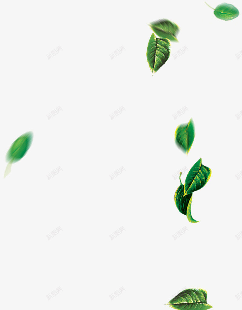 摄影夏日海报绿色漂浮树叶png免抠素材_88icon https://88icon.com 夏日 摄影 树叶 海报 漂浮 绿色