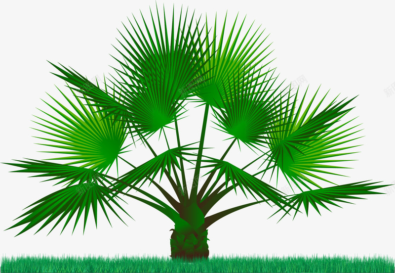 茂盛的针叶植物png免抠素材_88icon https://88icon.com 夏日景色 热带植物 矢量素材 绿植 针叶植物