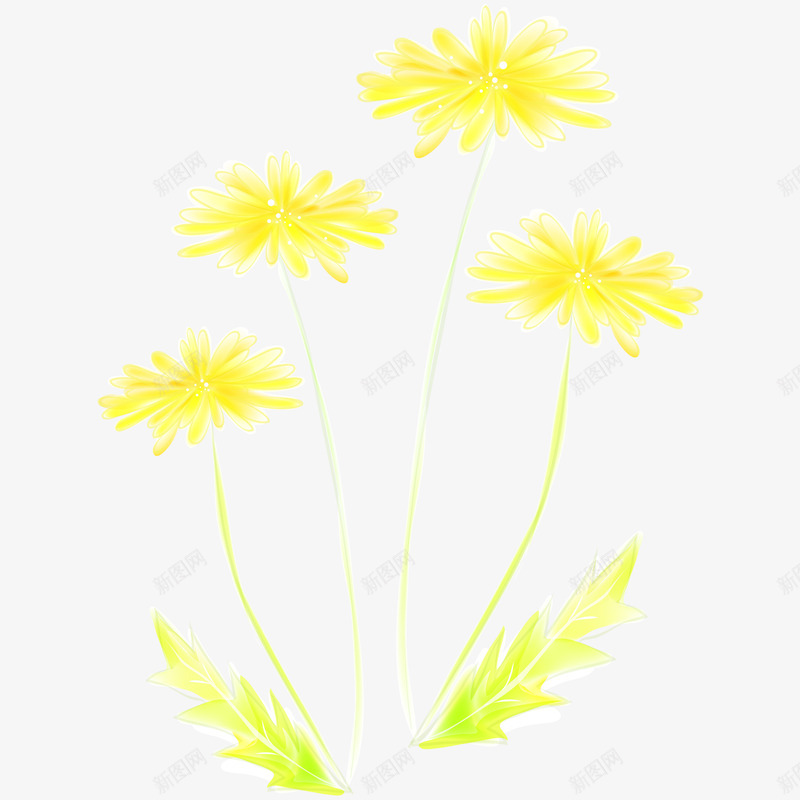 手绘水彩黄色菊花png免抠素材_88icon https://88icon.com 手绘图 水彩 美丽的 花卉 花朵 花瓣 菊花