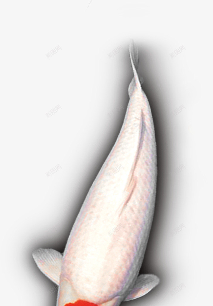漂浮花瓣气泡简洁大方树叶树丛png免抠素材_88icon https://88icon.com 可爱 树丛 树叶 气泡 漂浮 简洁 花瓣 边框