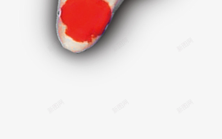 漂浮花瓣气泡简洁大方树叶树丛png免抠素材_88icon https://88icon.com 可爱 树丛 树叶 气泡 漂浮 简洁 花瓣 边框