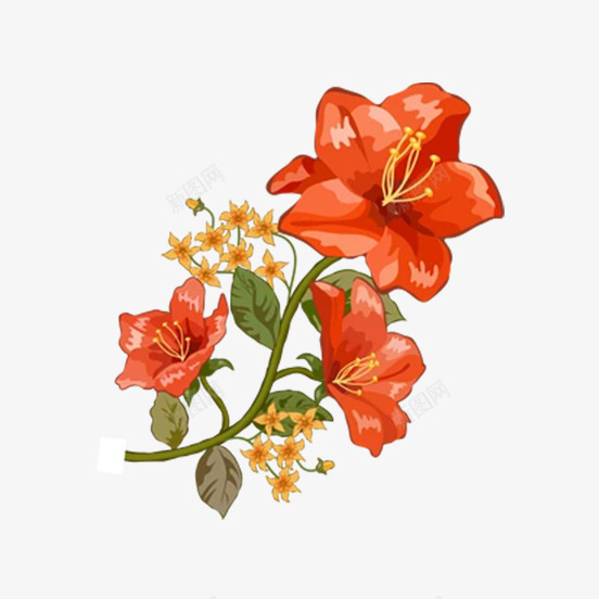 卡通盛开的橙色的花png免抠素材_88icon https://88icon.com 卡通手绘 植物 橙色的 盛开的 绿叶 美丽的花朵