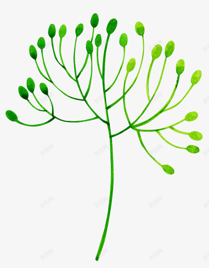 绿植桔梗手绘简图png免抠素材_88icon https://88icon.com 小草 手绘图 桔梗 植物 水彩 简图 绿植 草丛