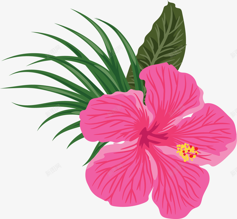粉红色夏日美丽花朵矢量图ai免抠素材_88icon https://88icon.com 一朵花 夏日花朵 夏花 矢量png 粉红色 美丽夏花 矢量图