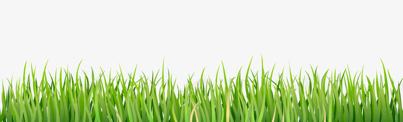 绿色卡通植物草丛png免抠素材_88icon https://88icon.com 卡通小草 卡通草丛 绿色植物 绿色草丛 背景装饰