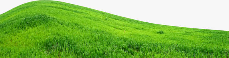 远景绿色草坪png免抠素材_88icon https://88icon.com 图片 绿色 草坪 远景