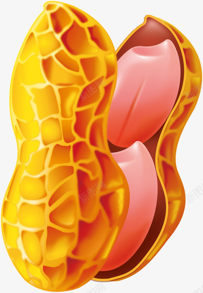 打开的金黄色的花生png免抠素材_88icon https://88icon.com 卡通 花生 金色 食物