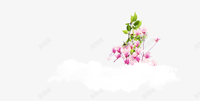 飘浮云朵png免抠素材_88icon https://88icon.com 白色 粉色 花枝