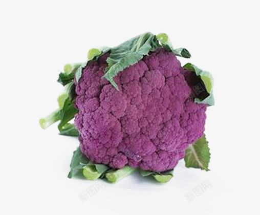 紫色的花菜片png免抠素材_88icon https://88icon.com 健康食品 有机无公害 紫色花椰菜 绿色蔬菜 花菜叶 蔬菜类