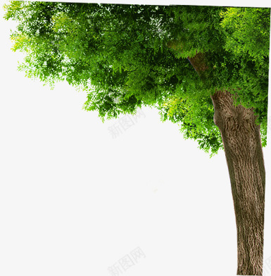 绿树景观美景大树园林png免抠素材_88icon https://88icon.com 园林 大树 景观 绿树 美景