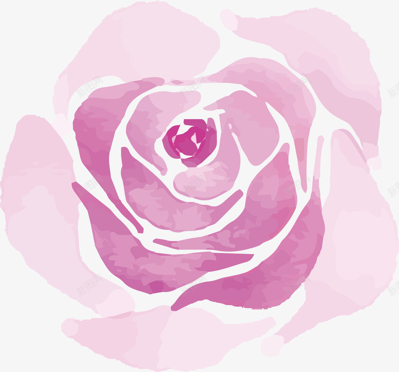 紫色玫瑰花矢量图ai免抠素材_88icon https://88icon.com 植物 漂亮 玫瑰花 紫色 美丽 花朵 花瓣 矢量图