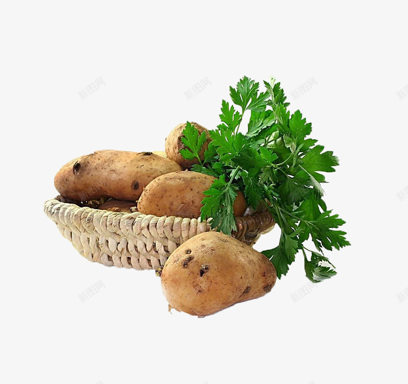 土豆png免抠素材_88icon https://88icon.com 原生态 芹菜 蔬菜 食品