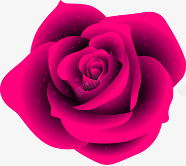 美丽的粉色花朵png免抠素材_88icon https://88icon.com 粉色 美丽 花朵