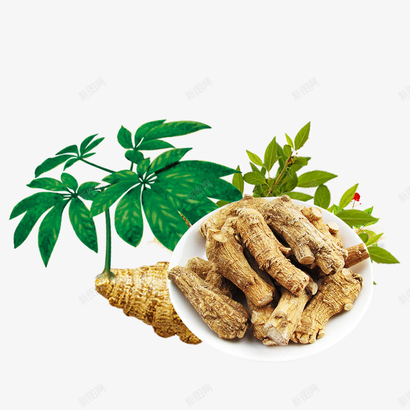 中医药材png免抠素材_88icon https://88icon.com 中医 中草药 传统中药 冬虫夏草 北虫草 医疗 医疗护理 医药 药 药材 蛹虫草