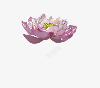 荷花花瓣花苞莲叶莲花中国风png免抠素材_88icon https://88icon.com 中国风 古风 海报 漂浮 花瓣 花苞 荷花 莲叶 莲花 首页