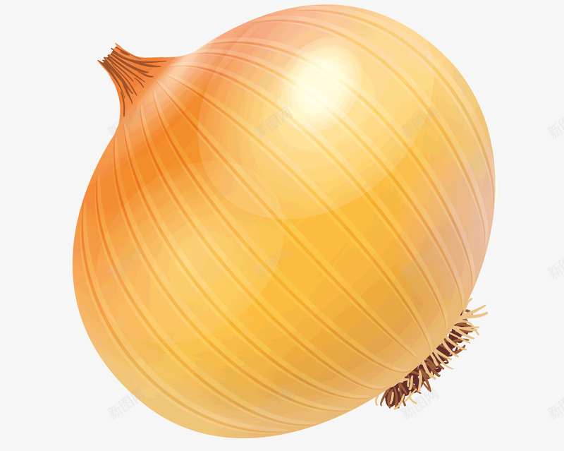 黄色的洋葱矢量图ai免抠素材_88icon https://88icon.com 吃的 圆葱 水果蔬菜 洋葱 矢量食物 蔬菜 黄色的洋葱 矢量图