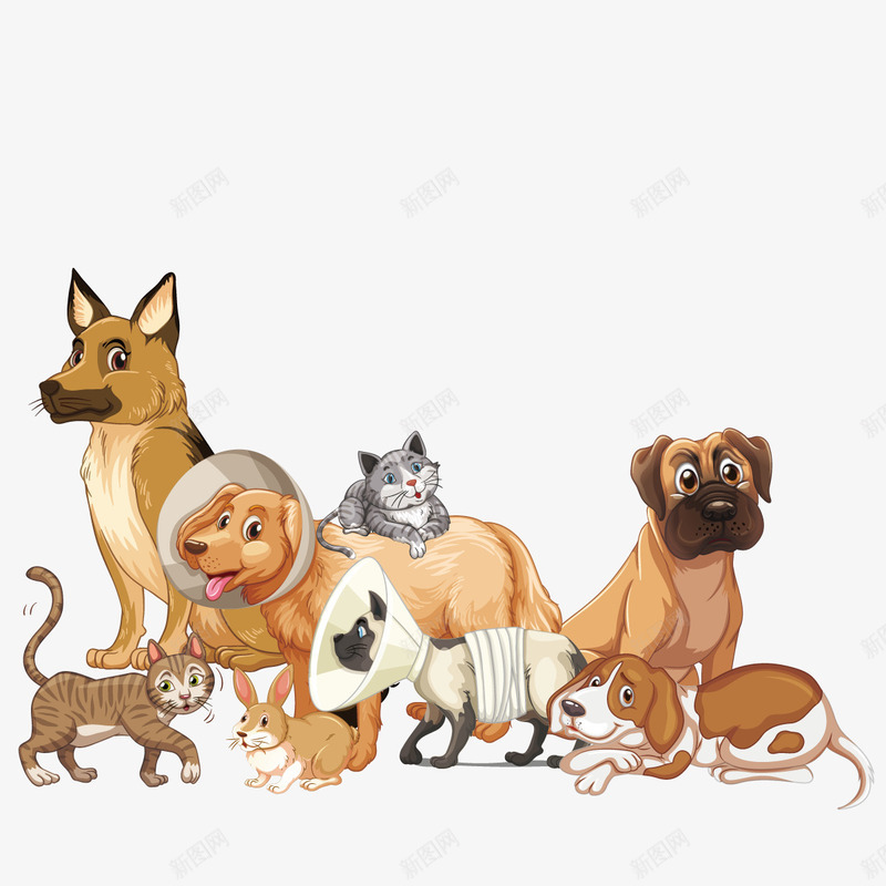 受伤的动物png免抠素材_88icon https://88icon.com 伤害 包扎 宠物店 狗狗 猫咪