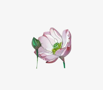 荷花花瓣花苞莲叶莲花中国风png免抠素材_88icon https://88icon.com 古风 海报 漂浮 花中国风 花瓣 花苞 荷花 莲 莲叶 首页