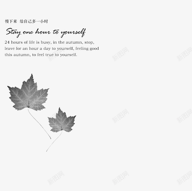黑色png免抠素材_88icon https://88icon.com 树叶 英文 飘浮